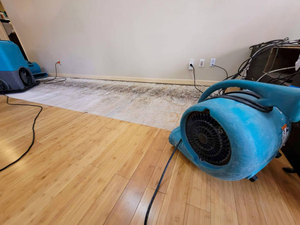 Professional Ceiling Water Damage Repair technician working in Brookton, ME