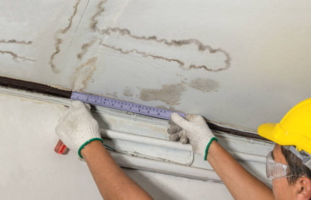 Affordable Ceiling Water Damage Repair solutions in Brookton, ME